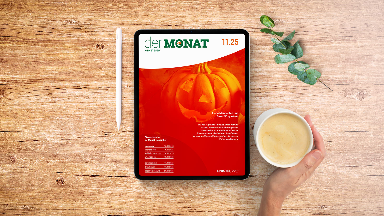 DER MONAT 11.2025 ist online