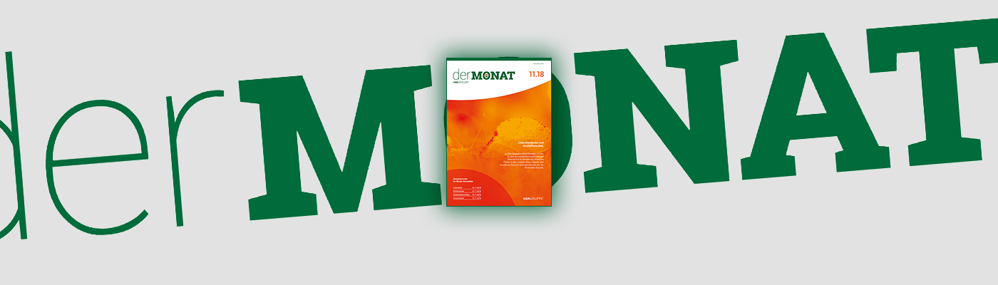 DER MONAT 11.2018 ist online