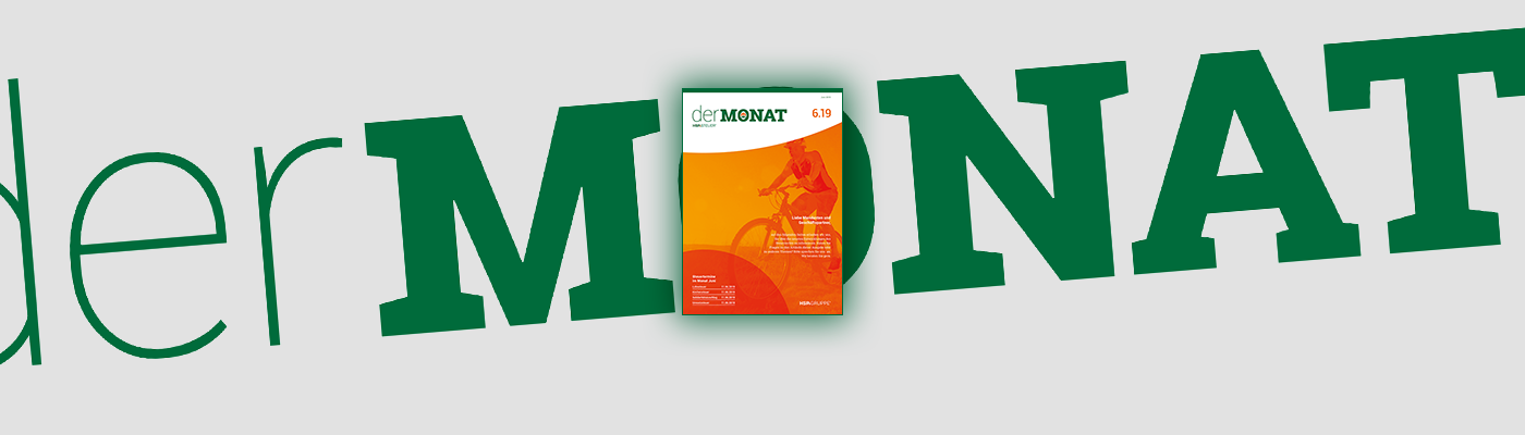 DER MONAT 06.2019 ist online