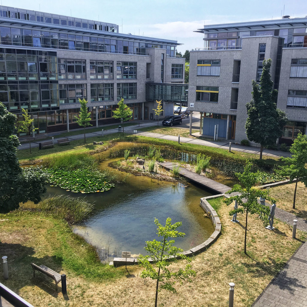 Ihr Steuerberater aus Berlin Köpenick